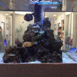 Corey H Marco, MD - Fishtank