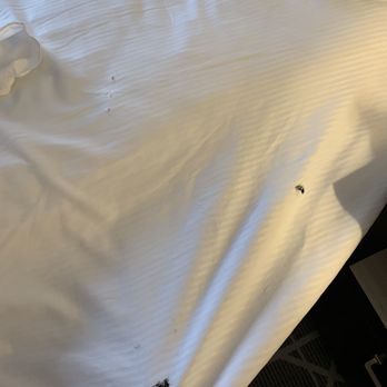 Hilton San Diego/Del Mar - Tore up sheets. Didn't bother me enough to call to have them replaced 911... But yikes! - Hotels Near Me - Del Mar, California Hilton San Diego/Del Mar - Tore up sheets. Didn't bother me enough to call to have them replaced 911... But yikes! - Hotels Near Me - Del Mar, California