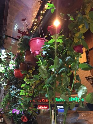 Asmali Saki Meyhanesi by null