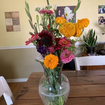 The Flower Stand - In my defense, it's my first time arranging flowers - Farmers Market Near Me - Springville, New York The Flower Stand - In my defense, it's my first time arranging flowers - Farmers Market Near Me - Springville, New York