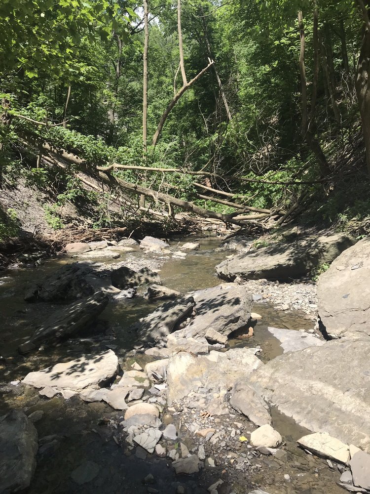 Social spots from Fall Brook