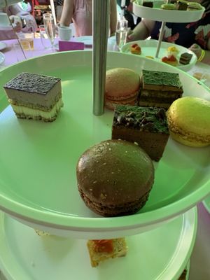 Woodland Park by null