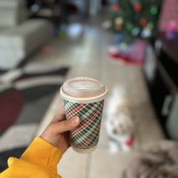 Wise Spot Nutrition - Protein hot chocolate