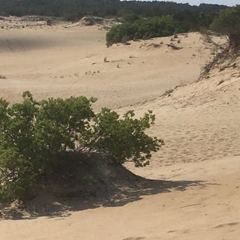 Jockey's Ridge State Park - Parks Near Me - Nags Head, North Carolina Jockey's Ridge State Park - Parks Near Me - Nags Head, North Carolina