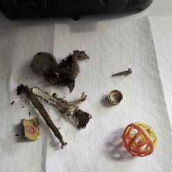 Stanley Steemer - Debris in my furnace fan and ball in my heat exchanger after 1 week later cleaning by Stanley Steamer .