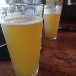 Salty Dog Saloon