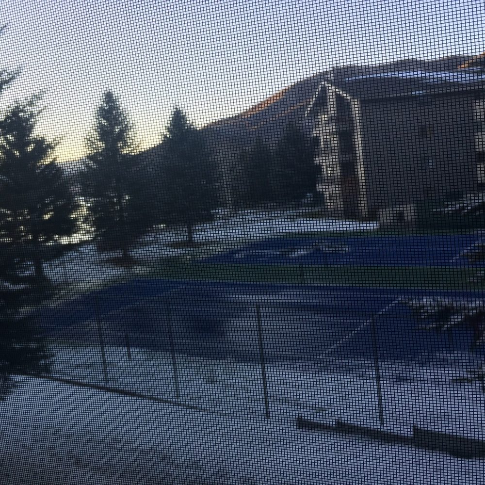 View from our window just before Thanksgiving!
