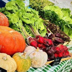 Fields Edge Farm - Seasonal specialty produce.