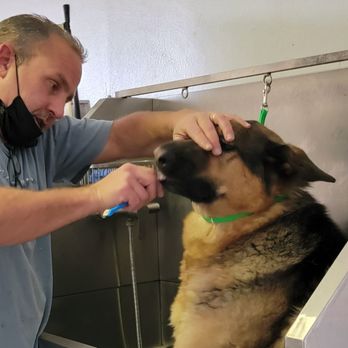 Shiny Paws & Claws - Pet Groomers Near Me - Fontana, California Shiny Paws & Claws - Pet Groomers Near Me - Fontana, California