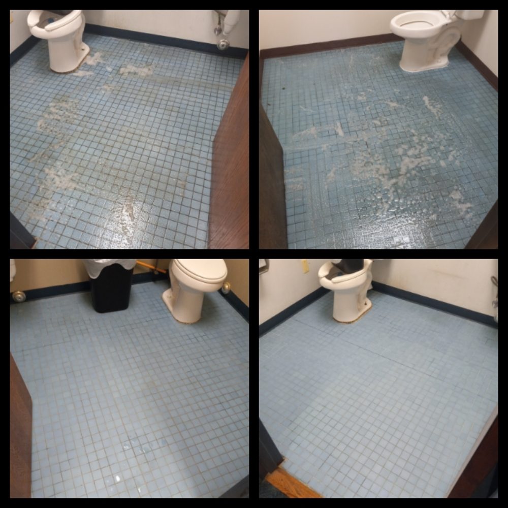 NEW JERSEY’S BEST CARPET & TILE CLEANING Updated October 2024 161