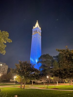 The Campanile by null