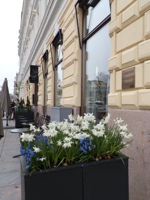 Restaurant Salutorget by null