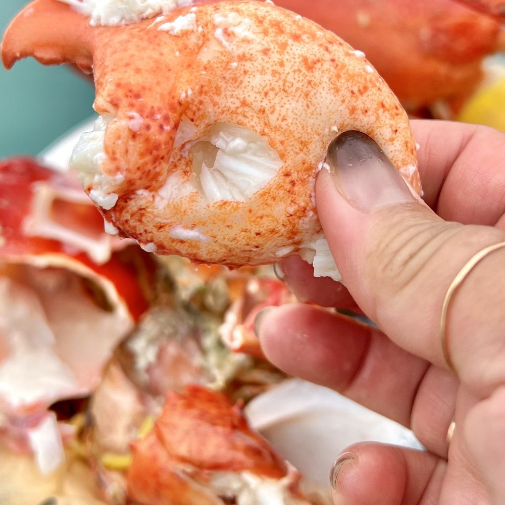 Lobsterdamus - Lobster Nest (Whole $42). Claw meat. Super tender. - Seafood Near Me - Costa Mesa, California