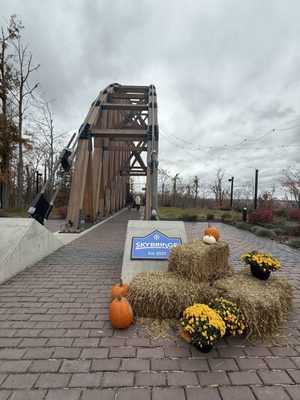 SkyBridge Michigan by null