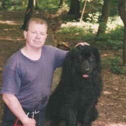 A L'Ecole des Chiens Saint Mickael