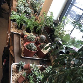 Flora & Forage - Florists Near Me - Asheville, North Carolina Flora & Forage - Florists Near Me - Asheville, North Carolina
