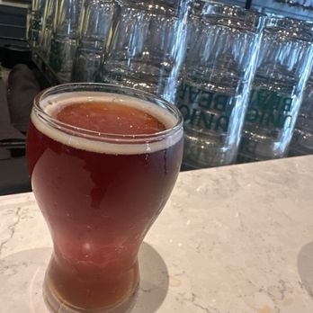 Union Bear Brewing Company - American Near Me - Plano, Texas