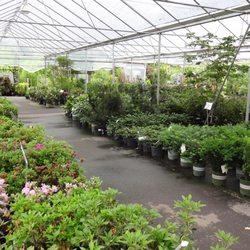 Pike Nurseries