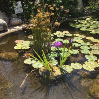 Water Conservation Garden - Botanical Gardens Near Me - El Cajon, California