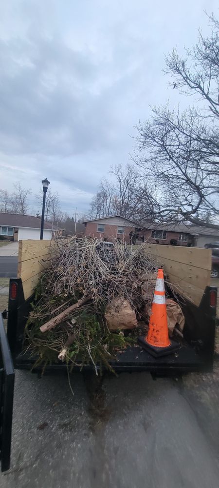 Relax While We Work - tree service in Buffalo, NY