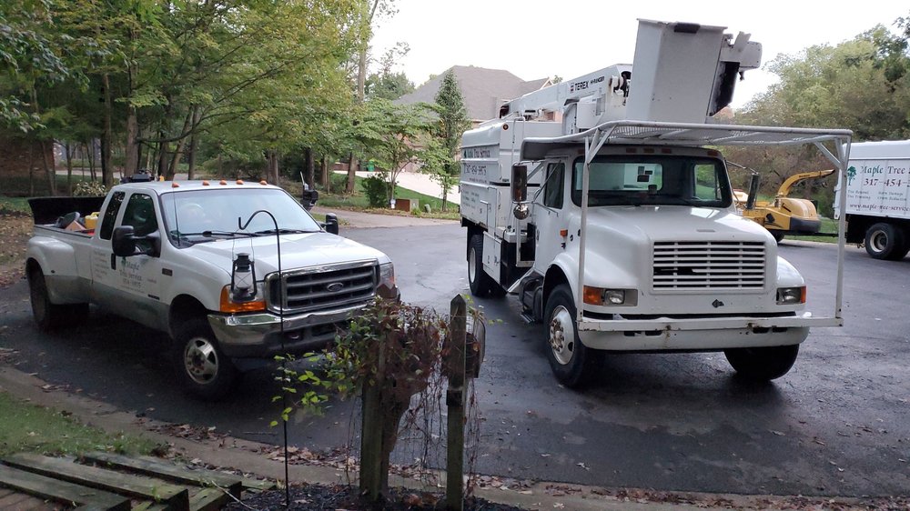 Maple Tree Services - tree service in Indianapolis, IN