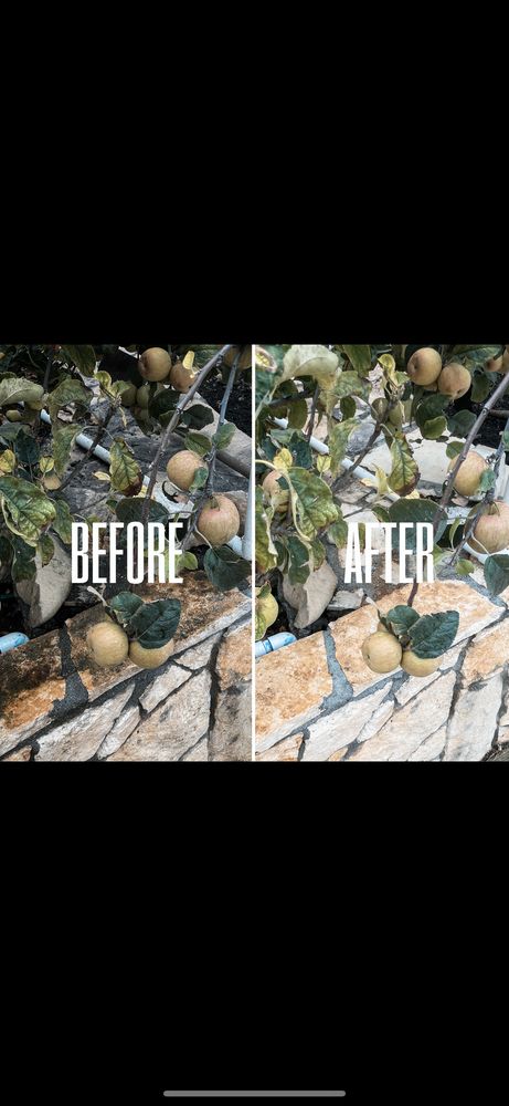 Slide of DAVA Pressure Washing