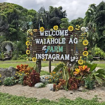 Waiahole Farm - The most Instagram-able signage! - Fruits & Veggies Near Me - Kaneohe, Hawaii Waiahole Farm - The most Instagram-able signage! - Fruits & Veggies Near Me - Kaneohe, Hawaii