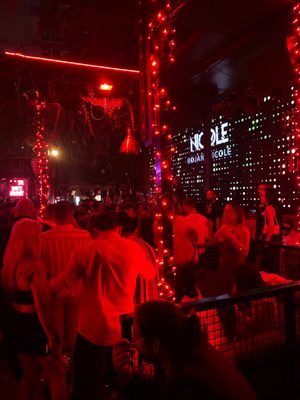 The Dirty Rabbit Wynwood by null