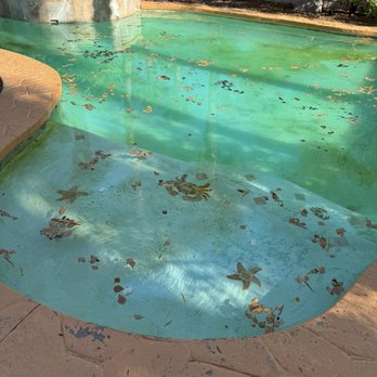 Mr. Pool - Pool Cleaners Near Me Mr. Pool - Pool Cleaners Near Me
