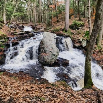 Salmon River State Forest - Waterfall of the Salmon River Trail - Parks Near Me - Colchester, Connecticut Salmon River State Forest - Waterfall of the Salmon River Trail - Parks Near Me - Colchester, Connecticut