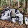 Photo of Salmon River State Forest