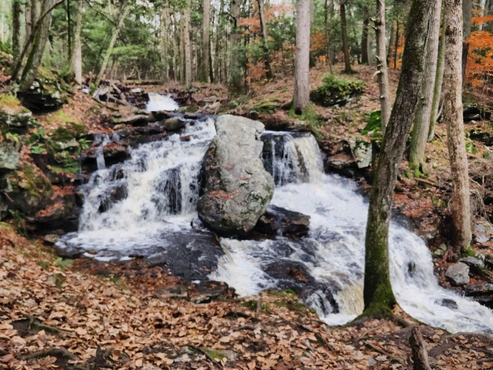 Salmon River State Forest Logo