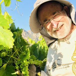 Malibu Bella Vista - Michael working in the vineyard