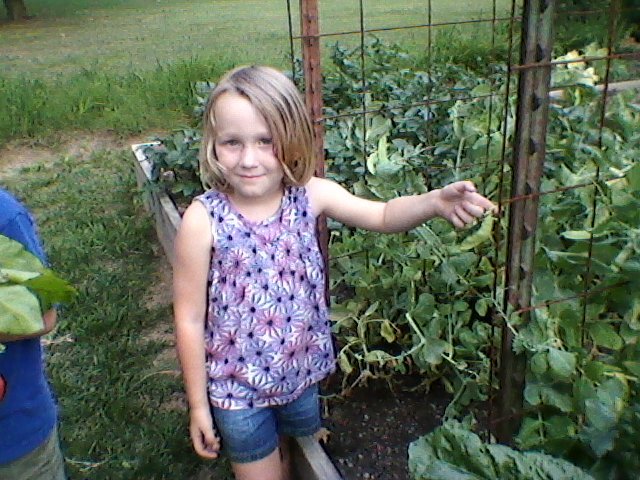 Heal and Hope Counseling Services - grief counselor in Cleveland, TN