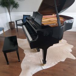 Dynamic Piano Service