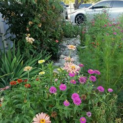 Mountain View Estates - Great landscaping!