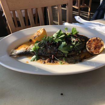 Scales - Seafood Near Me - Portland, Maine Scales - Seafood Near Me - Portland, Maine