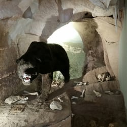 Museo Archeologico del Finale - Ursus spaelaeus. Il terrore degli uomini paleolitici