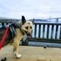 Photo of Struttin & Sniffin