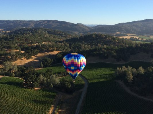 Napa Valley Aloft Hot Air Balloon Rides by null