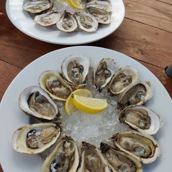 Anchored Grounds - a plate of oysters with a lemon wedge - Seafood Near Me - Tusket, Nova Scotia Anchored Grounds - a plate of oysters with a lemon wedge - Seafood Near Me - Tusket, Nova Scotia