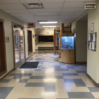 Ernie Miller Nature Center - Hallway with animals - Hiking Near Me - Olathe, Kansas