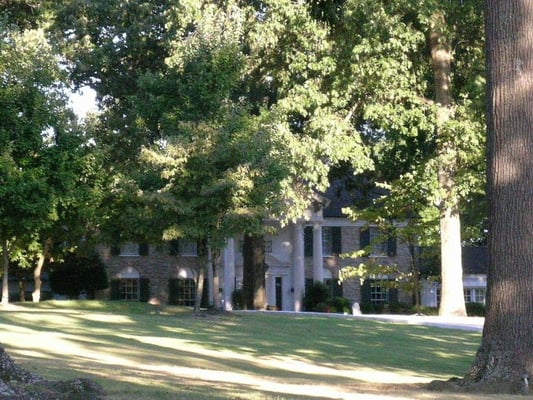Graceland by null