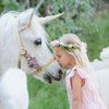 All Gods Creatures Petting Zoo and Pony Rides gift card