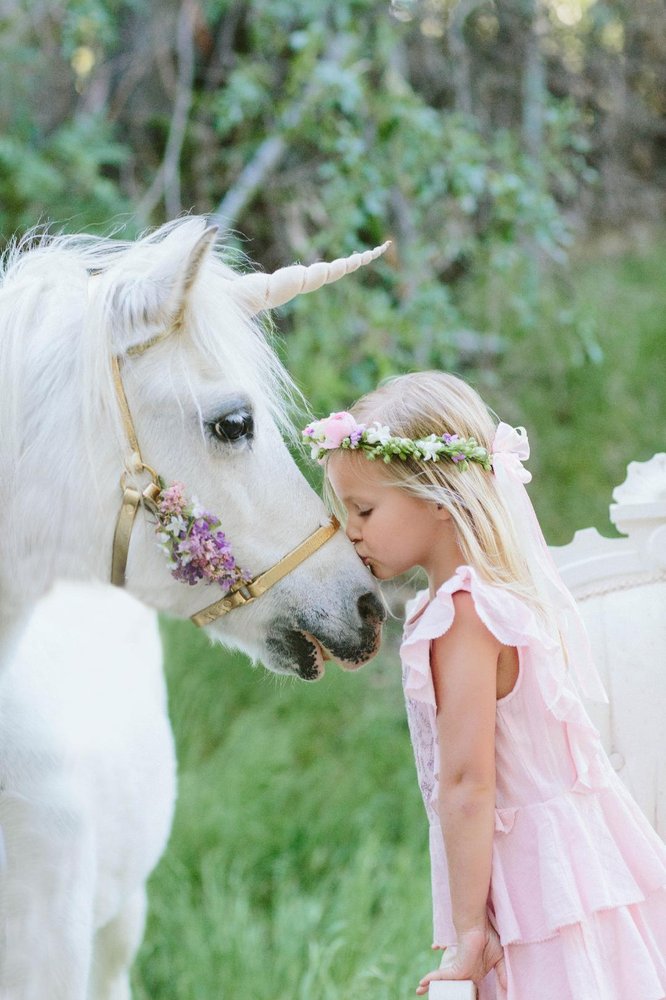 All Gods Creatures Petting Zoo and Pony Rides Logo