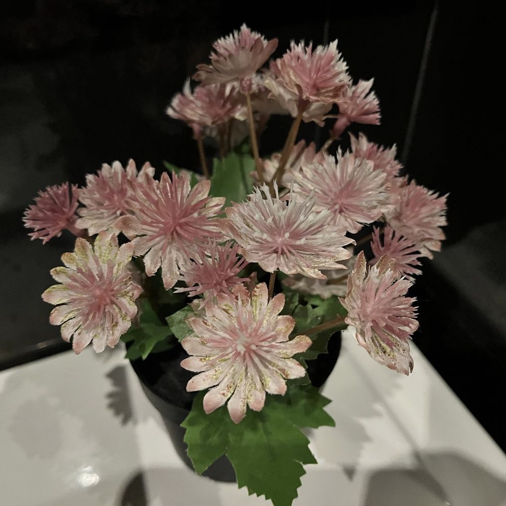 La Creparis - Breakfast & Brunch Near Me - New York, New York La Creparis - Breakfast & Brunch Near Me - New York, New York