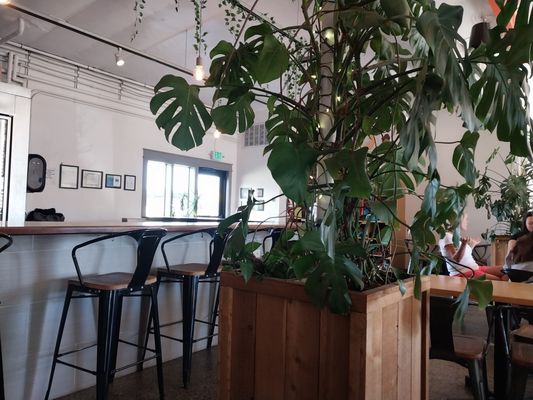 Stemma Brewing Company by null