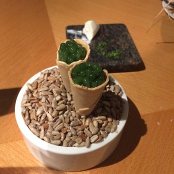 Field Restaurant - Amuse bouche: trout with caviar and dill - Czech Near Me - Prague, Puerto Rico
