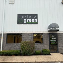 Purchase Green Artificial Grass