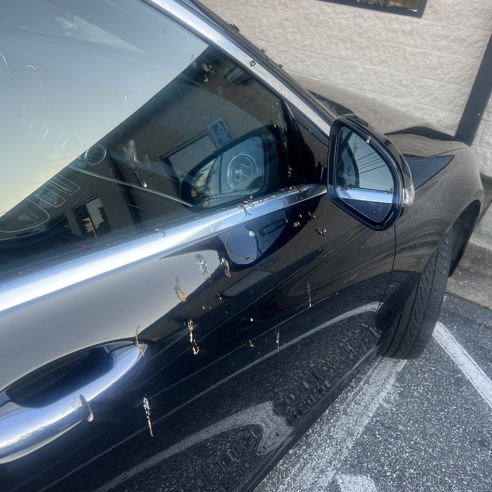 Caliber Collision - My vehicle upon pick up - Body Shops Near Me - Landover, Maryland Caliber Collision - My vehicle upon pick up - Body Shops Near Me - Landover, Maryland